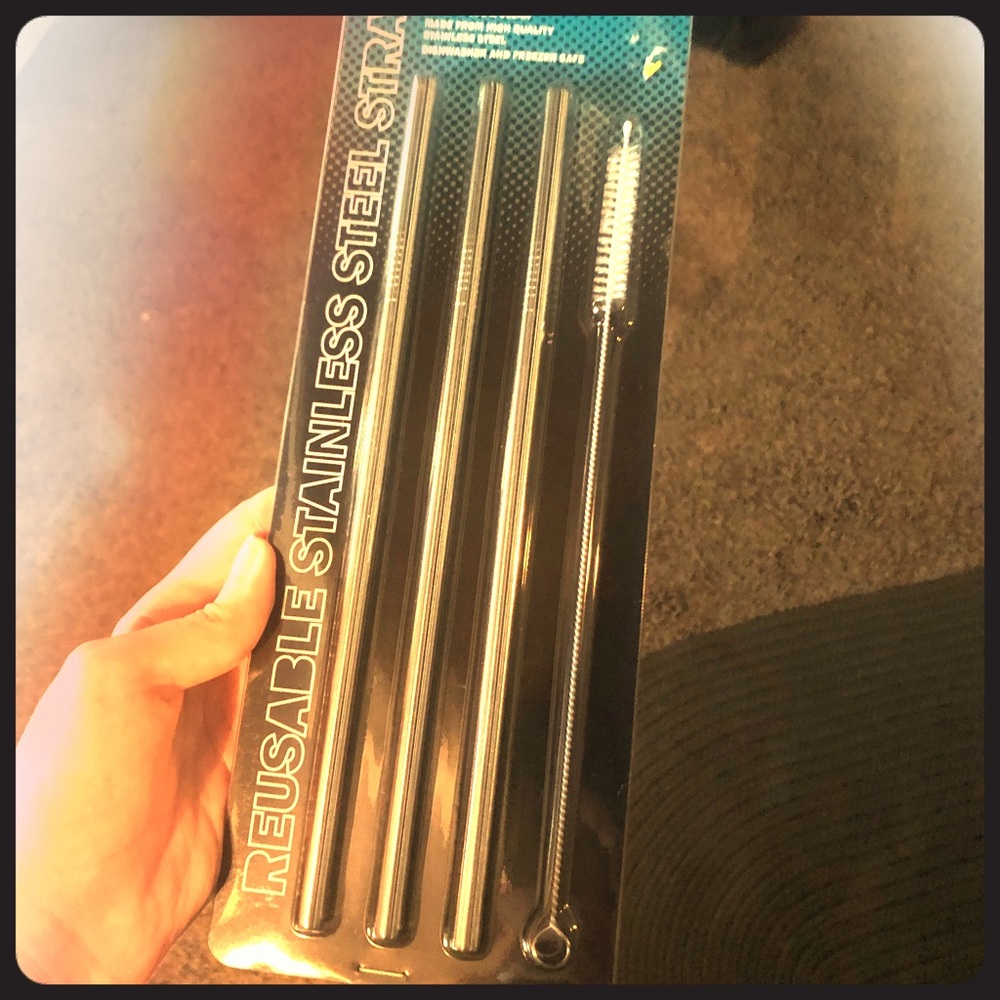 3 reusable stainless steel straws